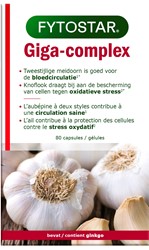 <p>Giga-Complex</p>