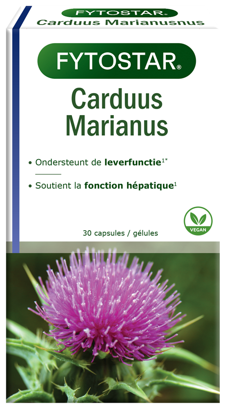 <p>Carduus Marianus</p>